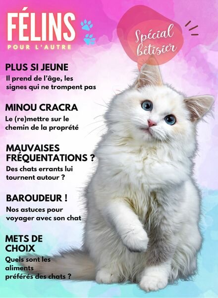 Felins pour l’autre – 29 Septembre 2023 Cover