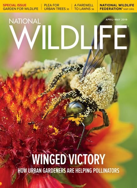 National Wildlife – April-May 2019 Cover