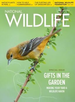 National Wildlife – April-May 2020