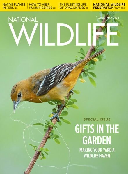 National Wildlife – April-May 2020 Cover
