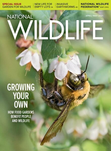 National Wildlife – April-May 2021 Cover