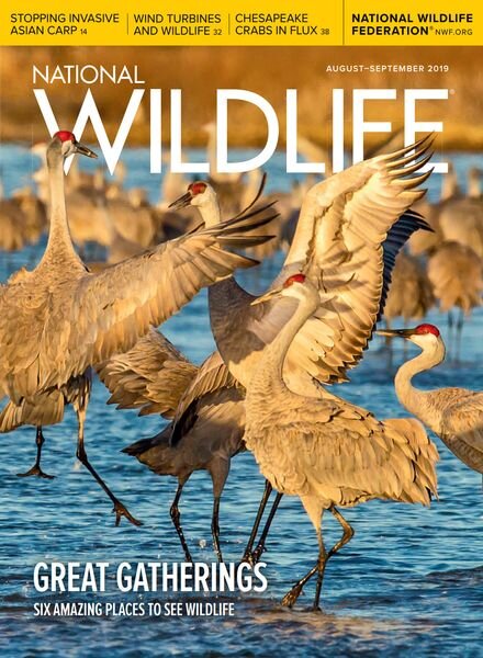 National Wildlife – August-September 2019 Cover