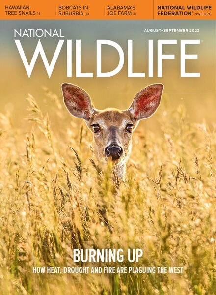 National Wildlife – August-September 2022 Cover