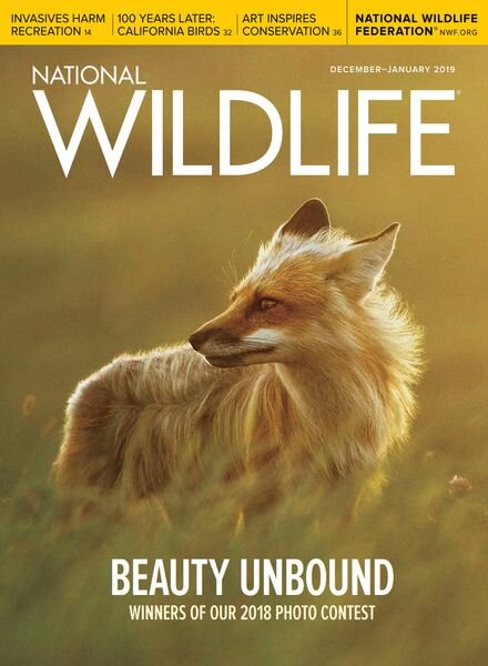 National Wildlife – December 2018 – January 2019 Cover