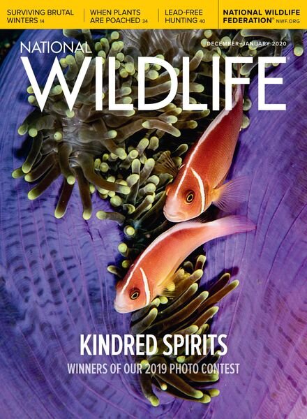 National Wildlife – December 2019 – January 2020 Cover