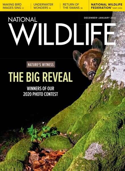 National Wildlife – December 2020 – January 2021 Cover