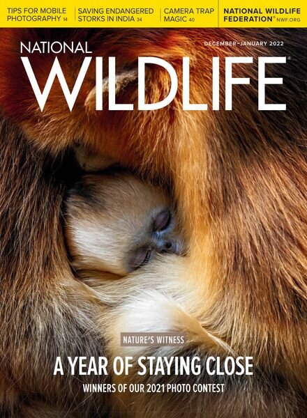 National Wildlife – December 2021 – January 2022 Cover