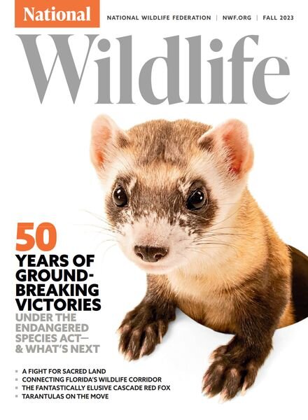 National Wildlife – Fall 2023 Cover