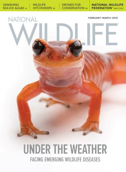 National Wildlife – February-March 2019 Cover