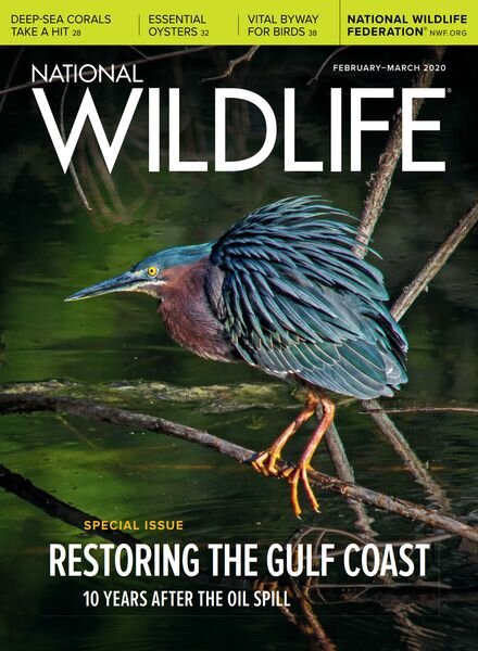 National Wildlife – February-March 2020 Cover