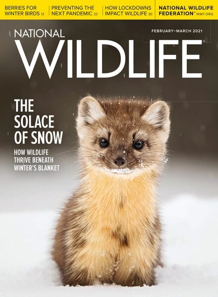 National Wildlife – February-March 2021 Cover