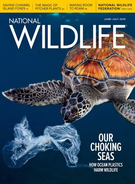 National Wildlife – June-July 2019 Cover