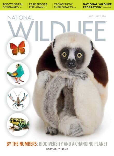 National Wildlife – June-July 2020 Cover