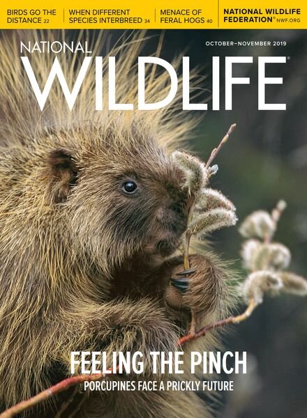 National Wildlife – October-November 2019 Cover