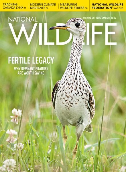 National Wildlife – October-November 2022 Cover