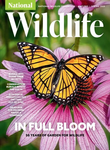 National Wildlife – Spring 2023 Cover
