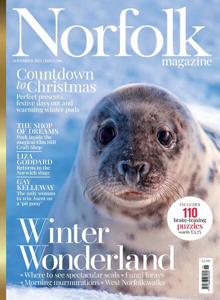 Norfolk Magazine – November 2023 Cover