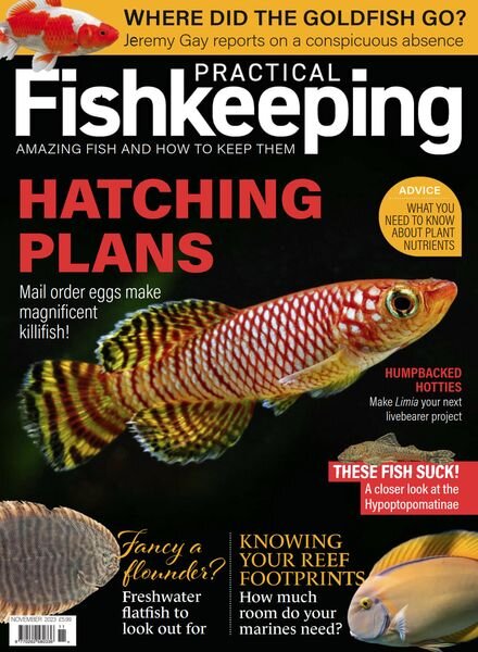 Practical Fishkeeping – November 2023 Cover