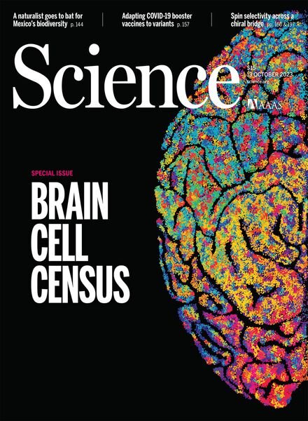 Science – 13 October 2023 Cover