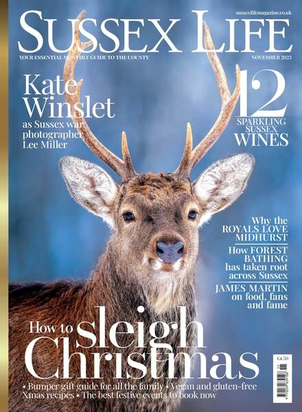 Sussex Life – November 2023 Cover