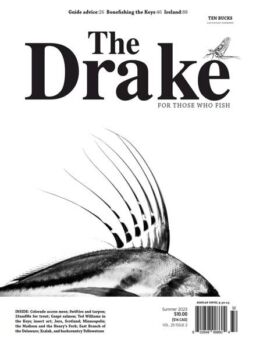 The Drake – Summer 2023