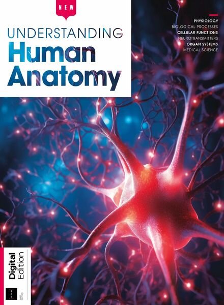 Understanding Human Anatomy – 1st Edition – 26 October 2023 Cover