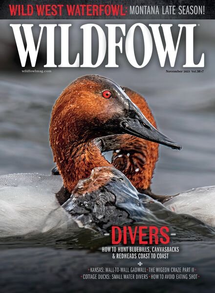 Wildfowl – November 2023 Cover