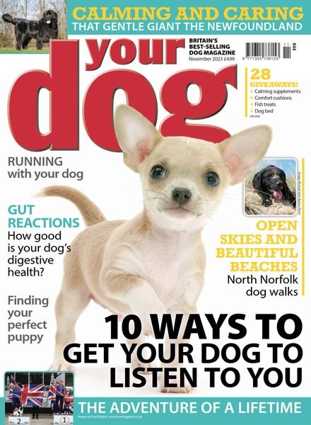 Your Dog – November 2023 Cover
