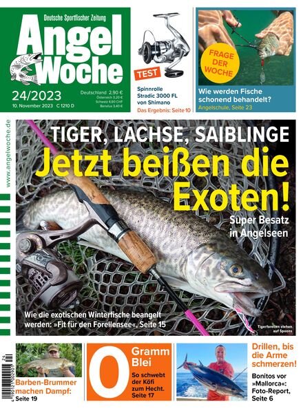 Angel Woche – 10 November 2023 Cover