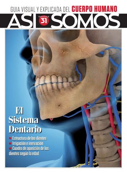 Asi Somos El cuerpo humano – 24 Octubre 2023 Cover