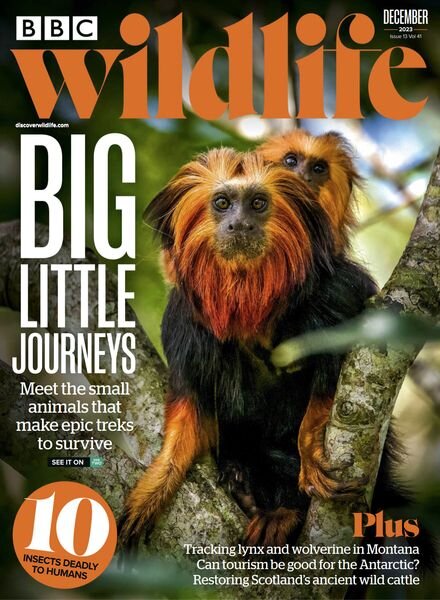 BBC Wildlife – December 2023 Cover
