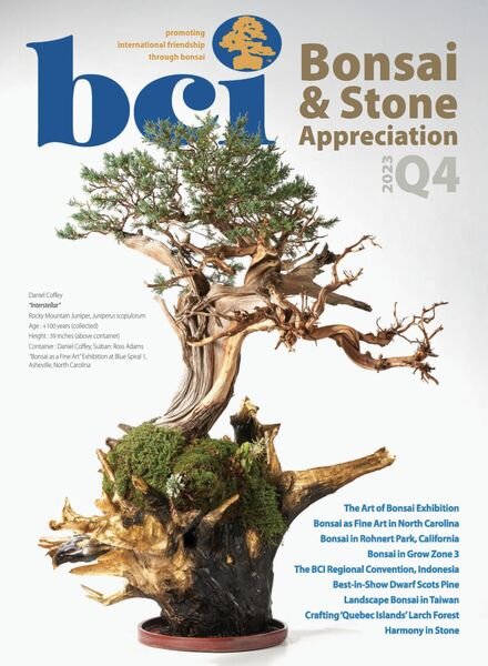 BCI Bonsai & Stone Appreciation Magazine – November 2023 Cover