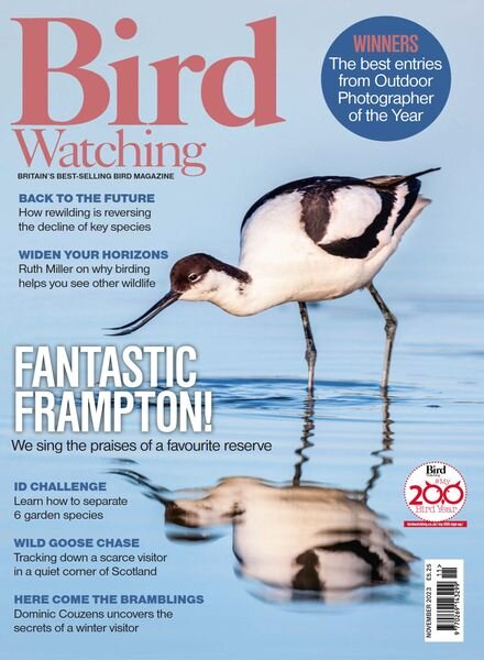 Bird Watching UK – November 2023 Cover