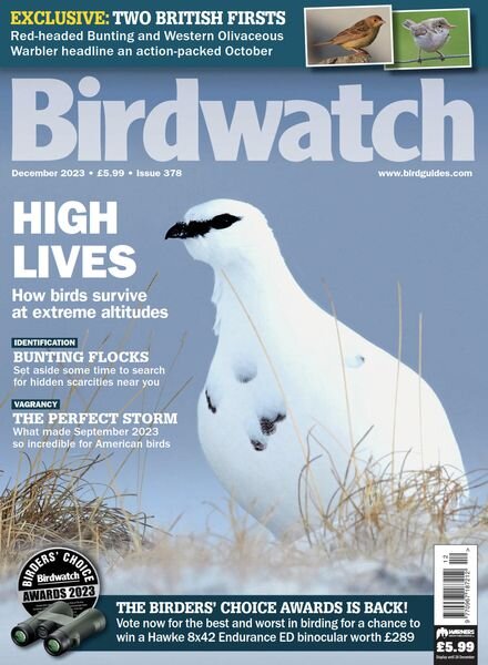 Birdwatch UK – December 2023 Cover