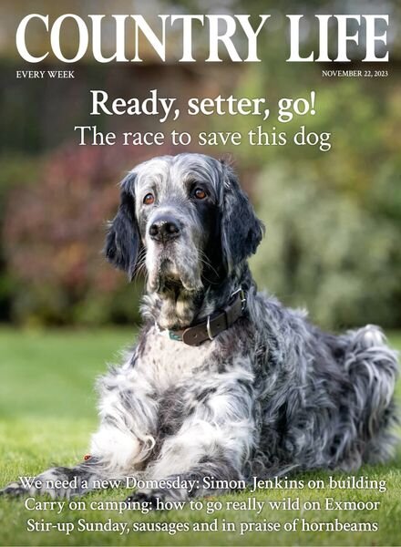 Country Life UK – 22 November 2023 Cover
