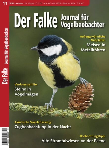 Der Falke Journal fur Vogelbeobachter – November 2023 Cover