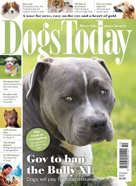Dogs Today UK – October 2023 Cover