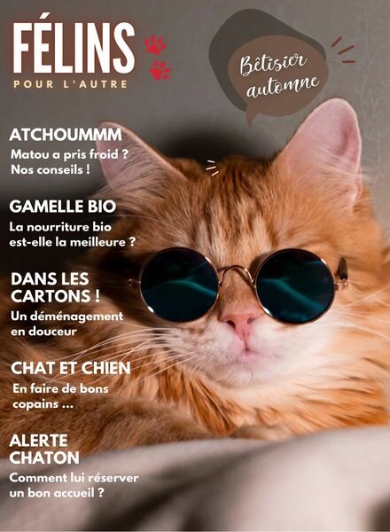 Felins pour l’autre – Novembre 2023 Cover