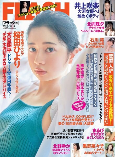 Flash – 14 November 2023 Cover