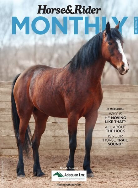 Horse & Rider USA – Horse & Rider Monthly – November 2023 Cover