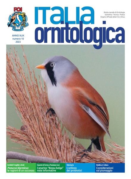 Italia Ornitologica – Numero 10 2023 Cover