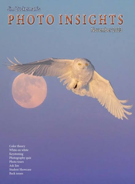 Photo Insights – November 2023 Cover