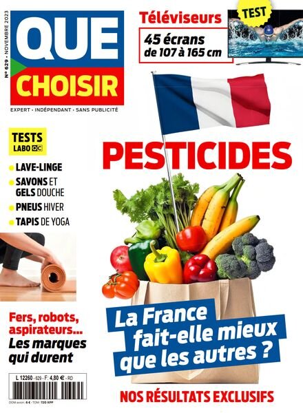 Que Choisir – Novembre 2023 Cover