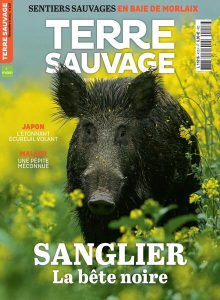 Terre Sauvage – Novembre 2023 Cover