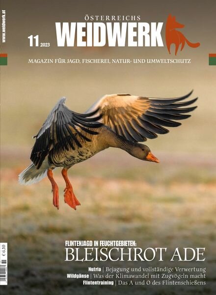 Weidwerk – November 2023 Cover