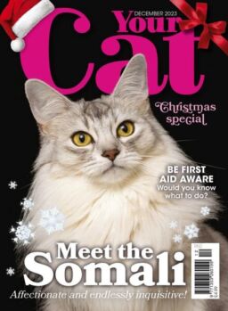 Your Cat – December 2023