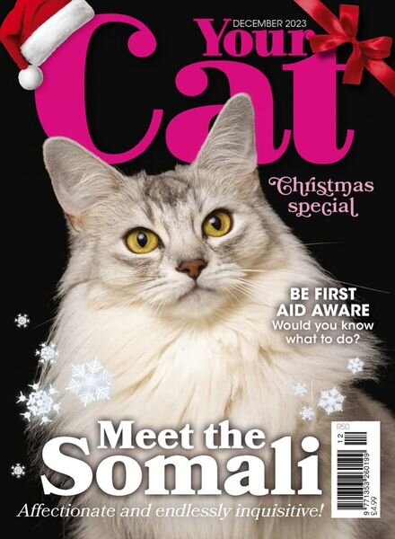 Your Cat – December 2023 Cover