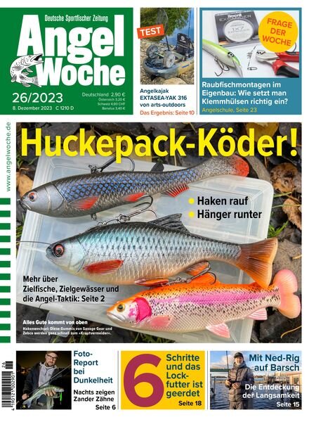 Angel Woche – 8 Dezember 2023 Cover