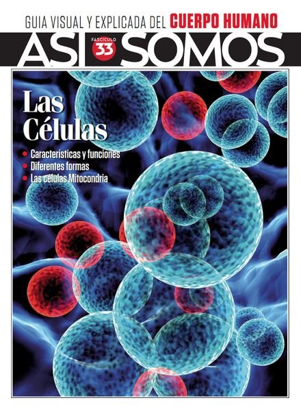Asi Somos El cuerpo humano – 22 Diciembre 2023 Cover