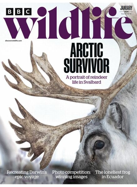 BBC Wildlife – January 2024 Cover